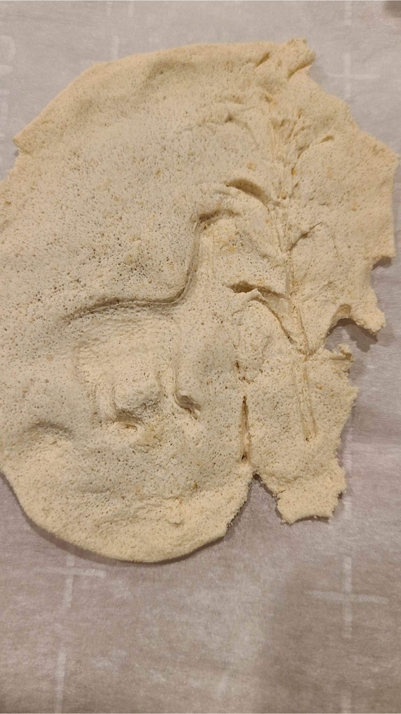 salt dough fossils 